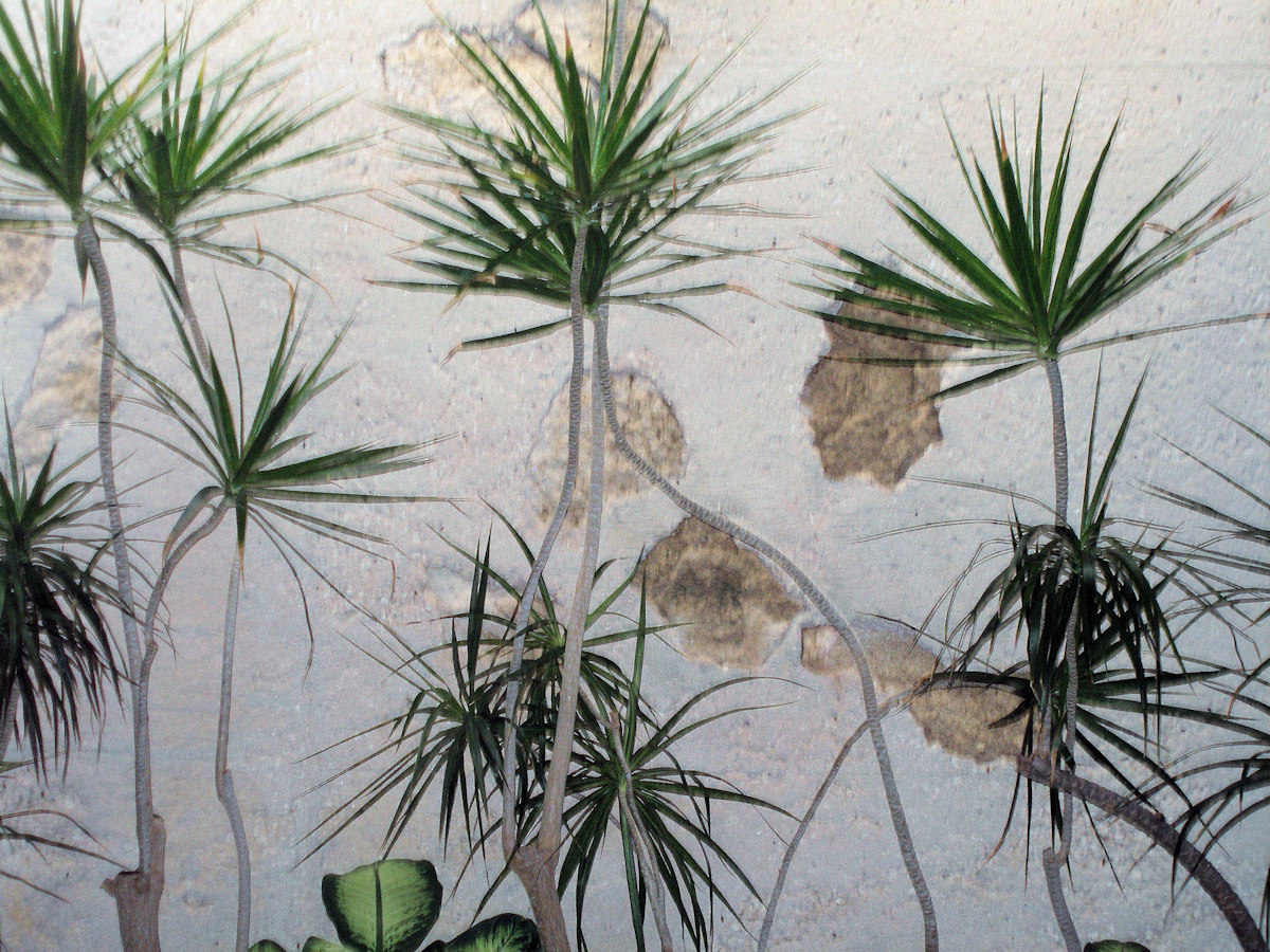 Tropical plants against stucco wall